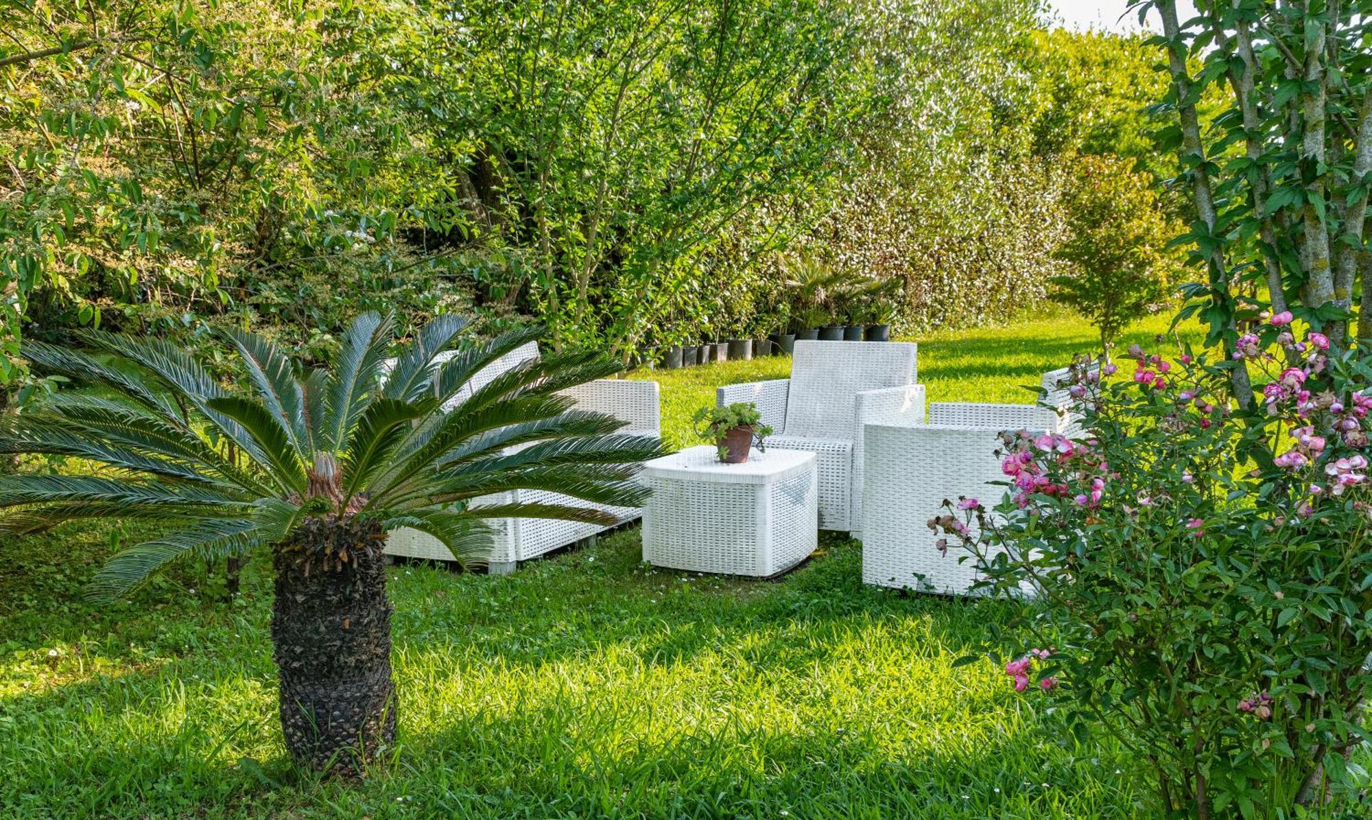 B&B Da Pio Pietrasanta Luaran gambar